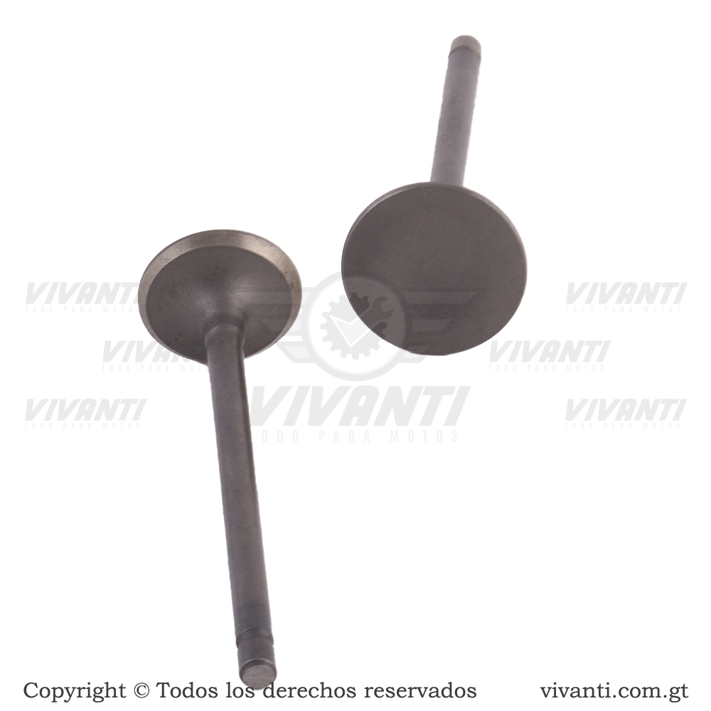 Válvulas Admisión Y Escape  GY6 150