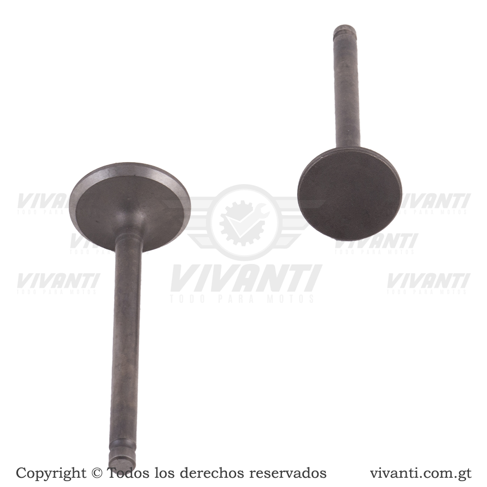 Válvulas Admisión y Escape C-110