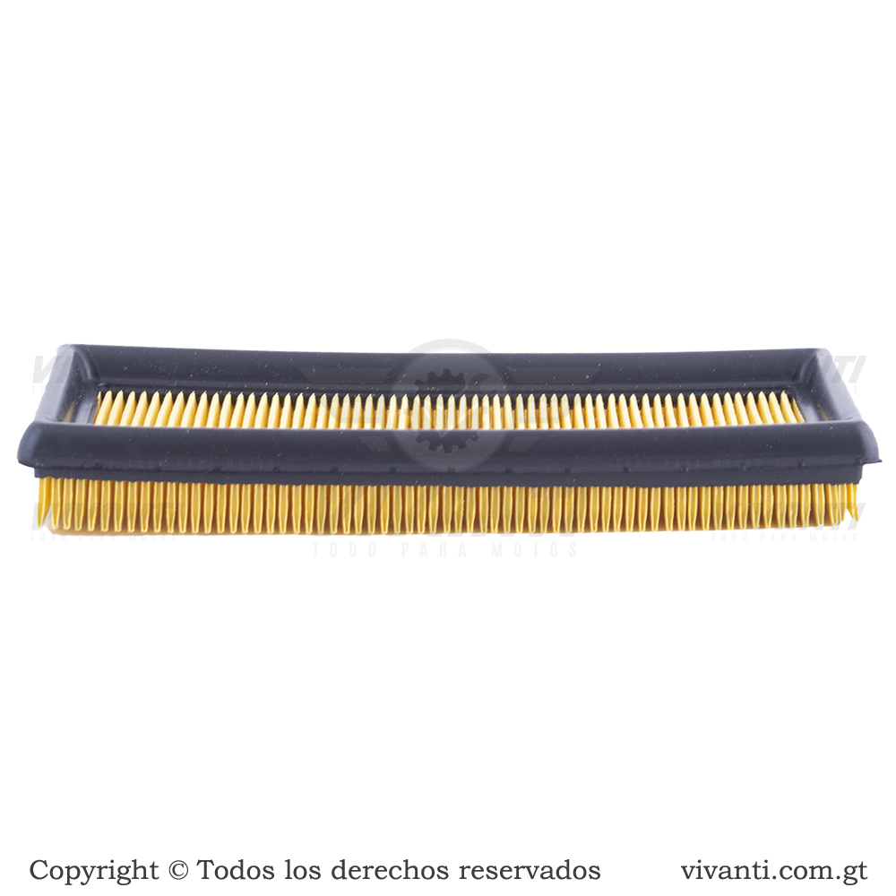 Filtro De Aire Pulsar 200 NS