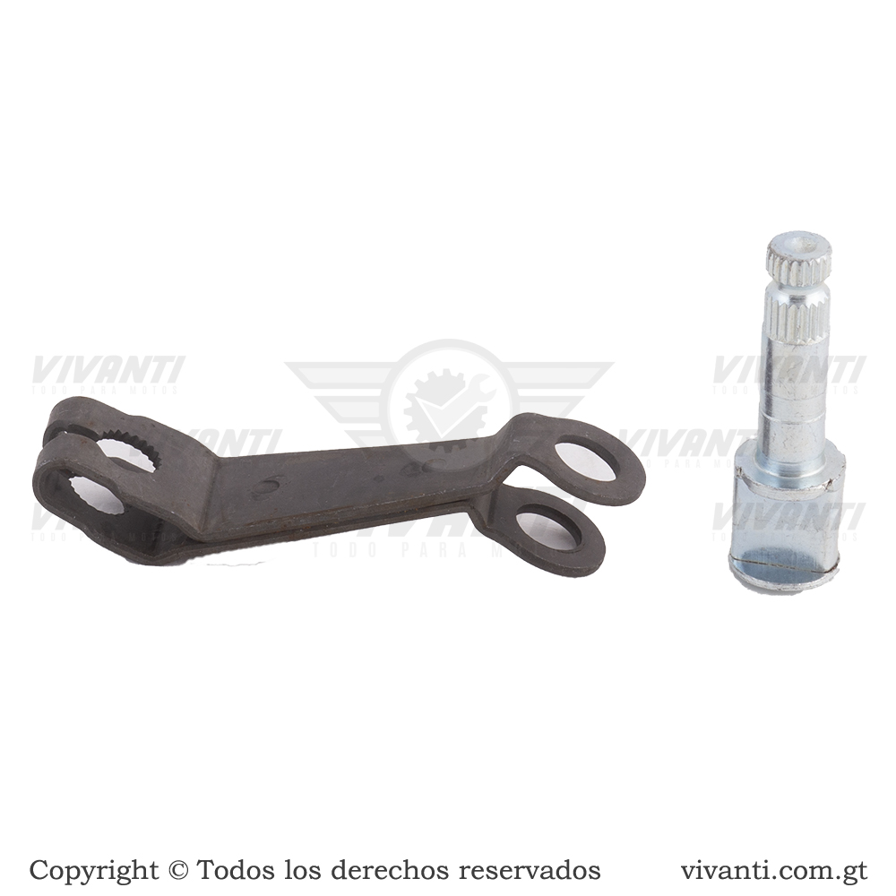 Brazo De Plato De Fricción Con Pin Discover