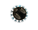 192932 (2).png