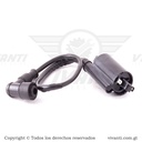 Bobina De Alta GNH 125
