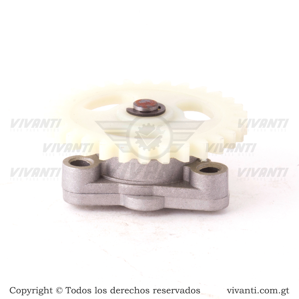 Bomba De Aceite GNH 125