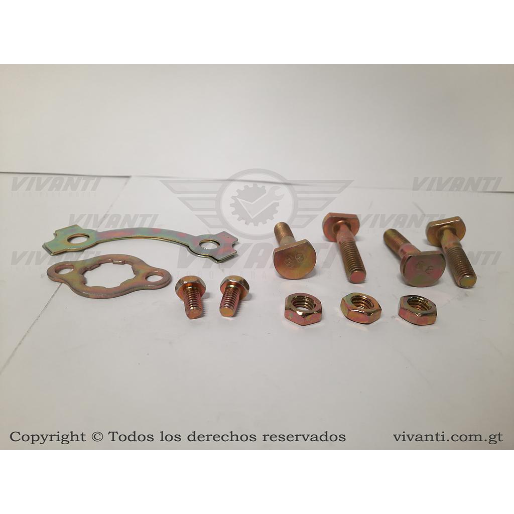 Kit De Tornillos Porta Sprocket GN