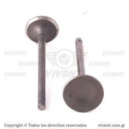 Válvulas Admicion y Escape AN