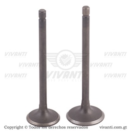 Válvulas Admisión Y Escape  GY6 150