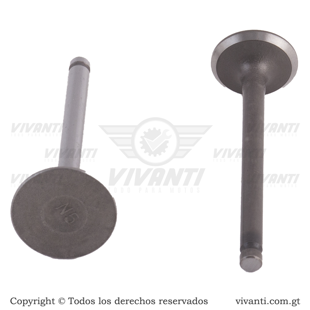 Válvulas Admisión Y Escape Elite