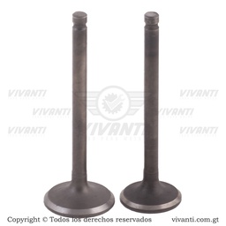 Válvulas Admisión y Escape C-110