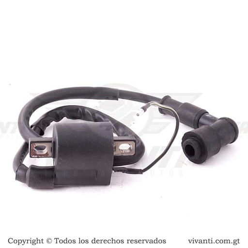 [193142] Bobina De Alta CGL 125