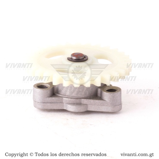 [193154] Bomba De Aceite GNH 125