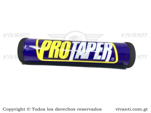 [194111] Esponja Timón Azul