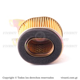 [193393] Filtro De Aire Elite