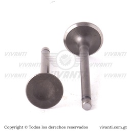 [193755] Válvulas Admisión Y Escape CT-100