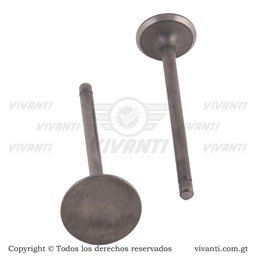 [193757] Válvulas Admisión Y Escape Dakar-150