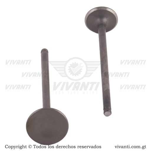 [192884] Válvulas Admisión Y Escape GNH