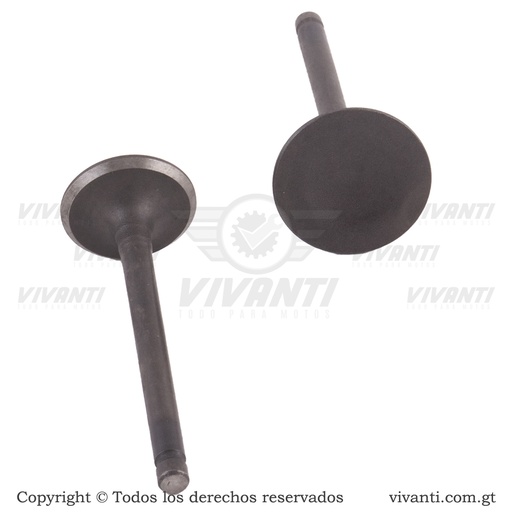 [193761] Válvulas Admisión Y Escape YBR